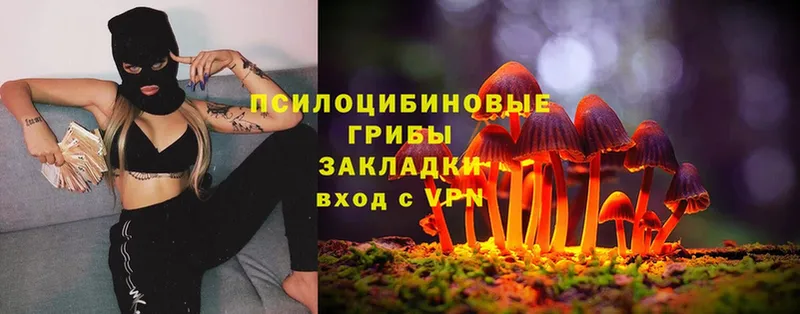 где купить наркотик  Ревда  Псилоцибиновые грибы Magic Shrooms 